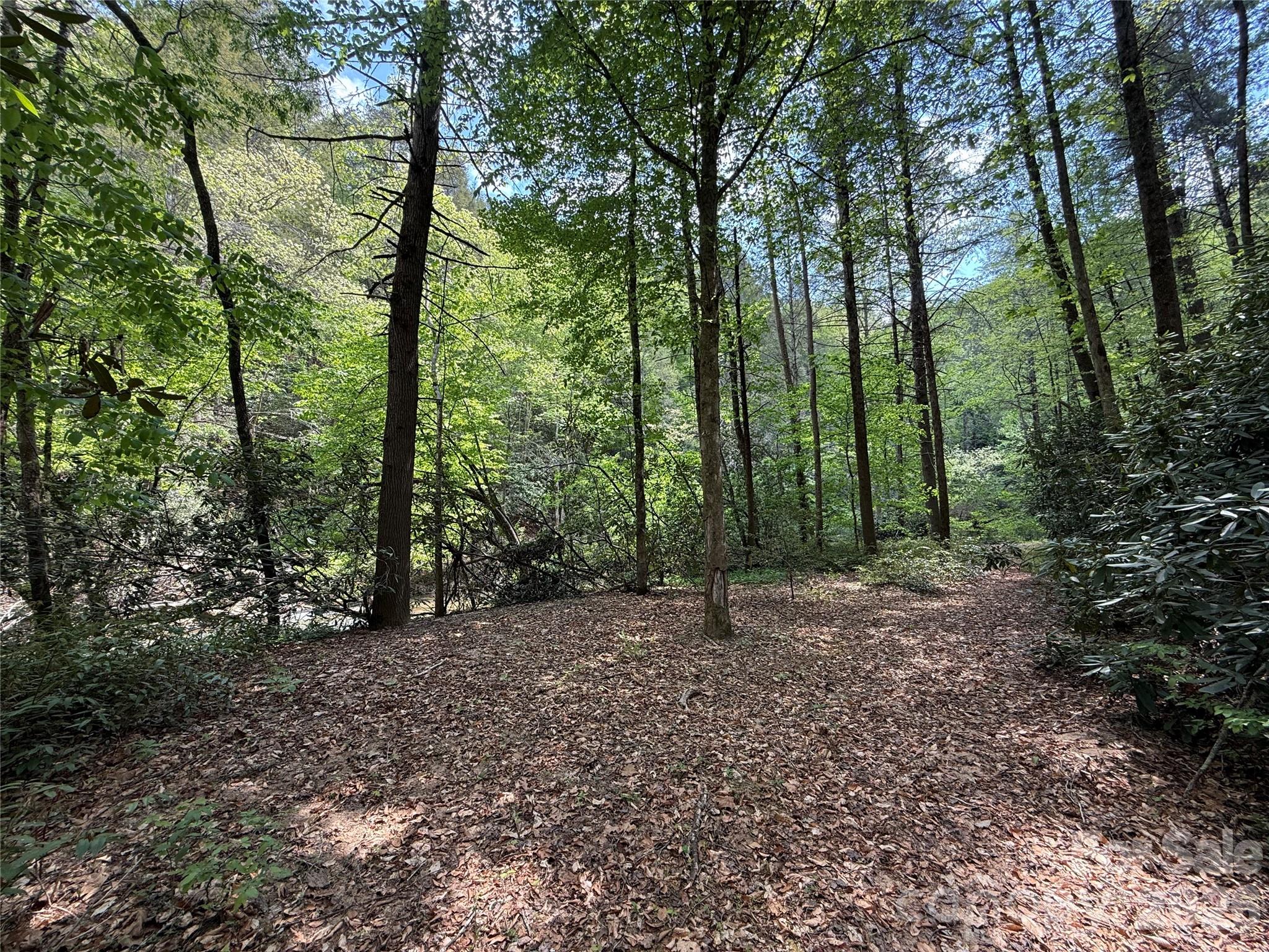 0 Kings Glen Road Old Fort, NC 28762 - Photo 4 of 47 a view of a forest with trees in the background