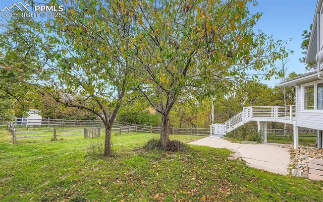 a view of a yard with a tree