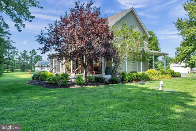 a green field with lots of trees