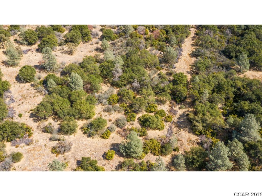 10623 Pool Station Road Angels Camp, CA 95222 - Photo 1 of 1 a picture of a city