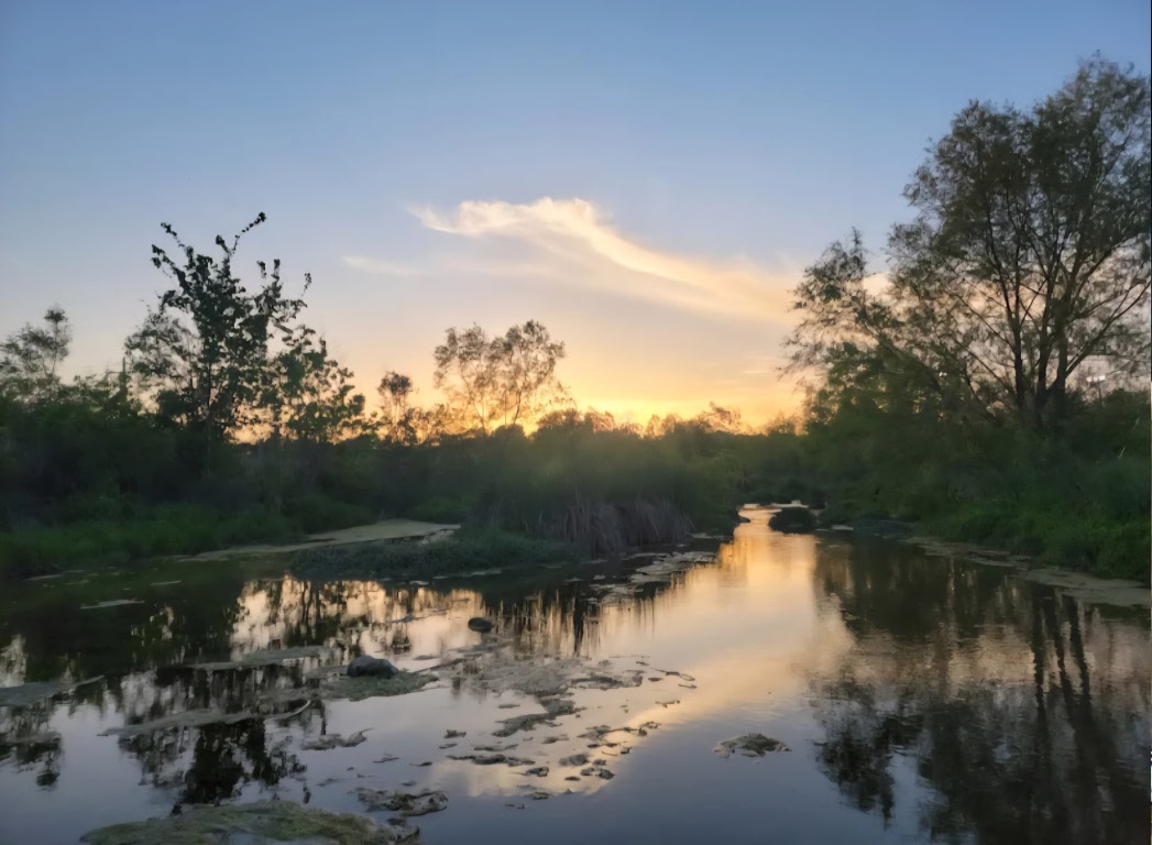 8540 White Ibis Drive Austin, TX 78729 - Photo 31 of 39 a view of lake