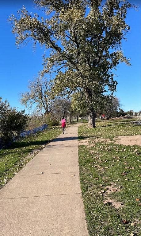 8540 White Ibis Drive Austin, TX 78729 - Photo 33 of 39 a view of a pathway with a yard