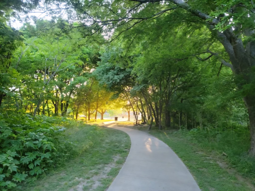 8540 White Ibis Drive Austin, TX 78729 - Photo 34 of 39 a view of a yard with a trees
