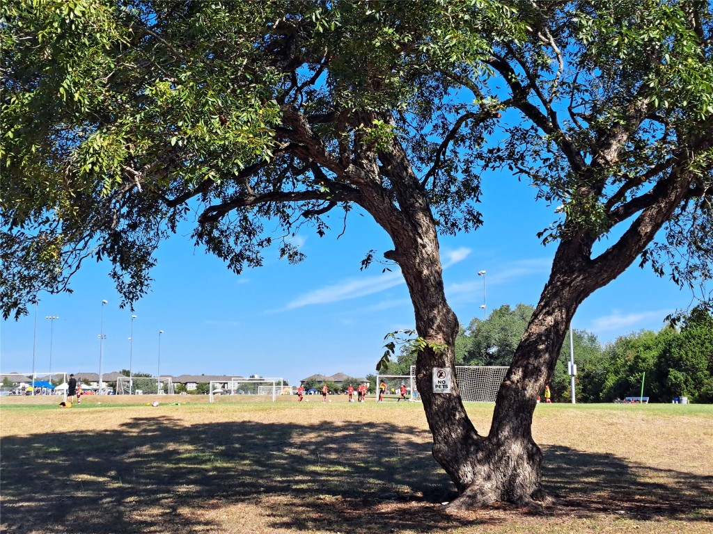 8540 White Ibis Drive Austin, TX 78729 - Photo 36 of 39 a view of a lake with a mountain