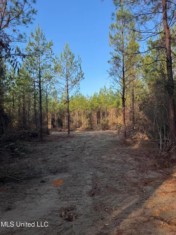 $68,000 | Pat Hickman Road, Wiggins, MS 39577