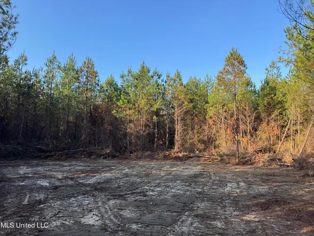 $68,000 | Pat Hickman Road, Wiggins, MS 39577