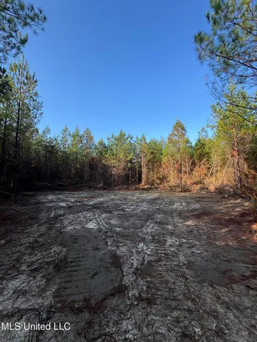 $68,000 | Pat Hickman Road, Wiggins, MS 39577