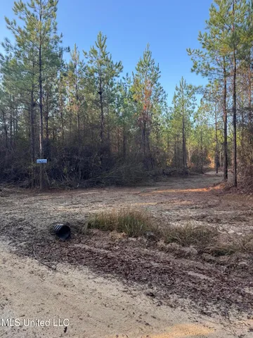 $68,000 | Pat Hickman Road, Wiggins, MS 39577