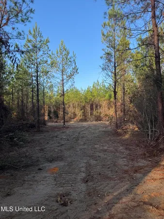 $68,000 | Pat Hickman Road, Wiggins, MS 39577