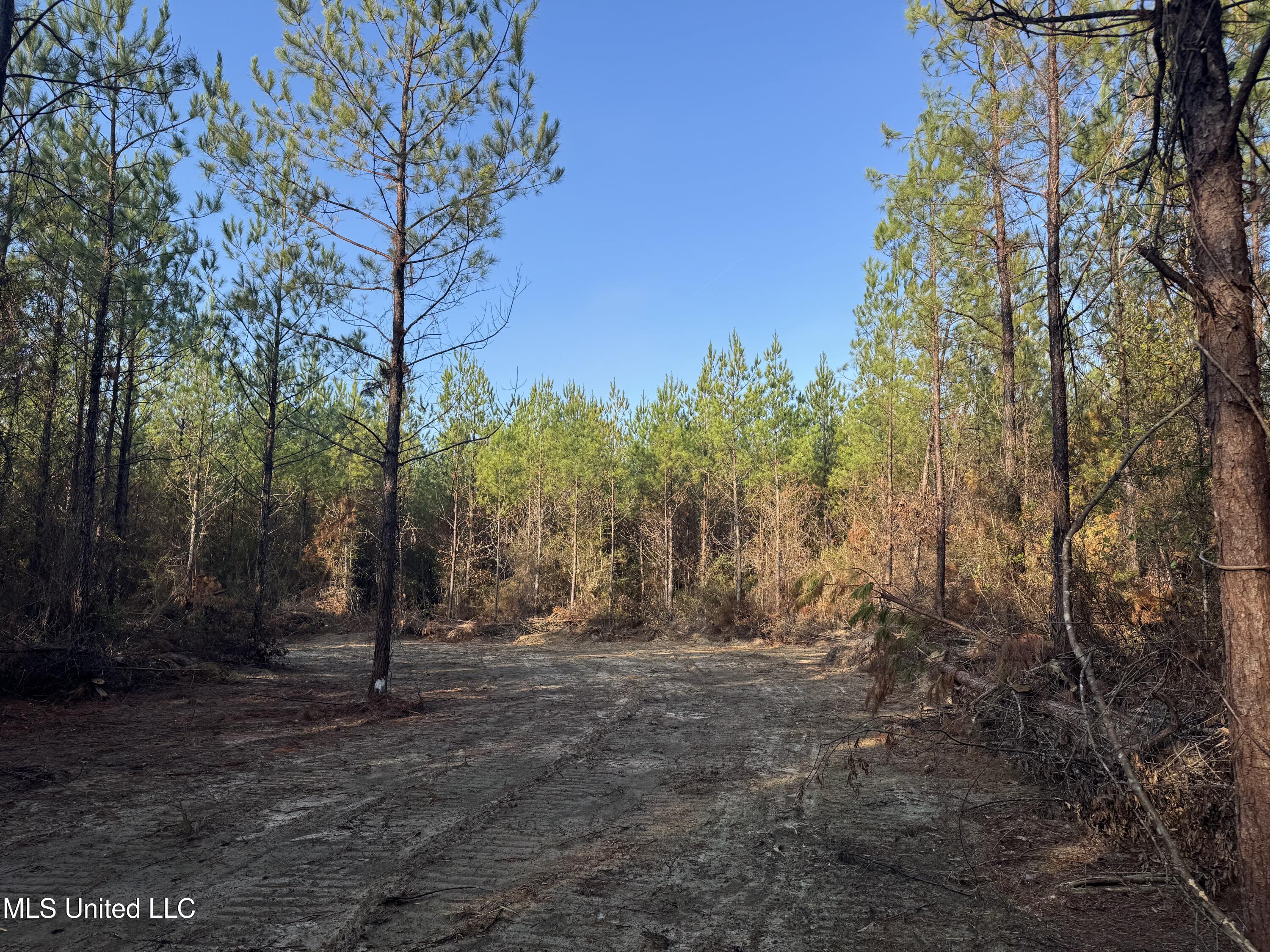 Pat Hickman Road Wiggins, MS 39577 - Photo 5 of 12 IMG_2009