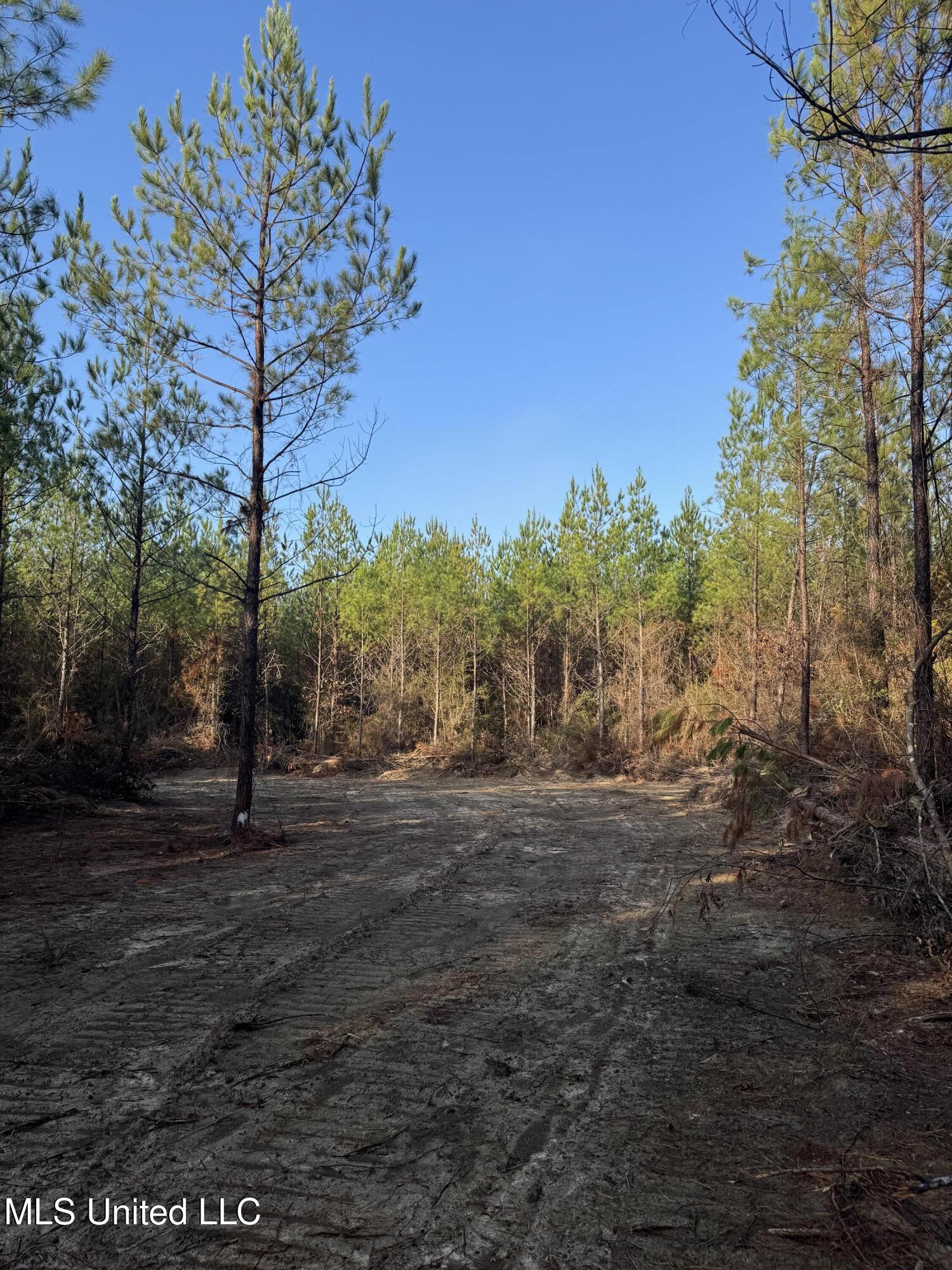 Pat Hickman Road Wiggins, MS 39577 - Photo 6 of 12 IMG_2010