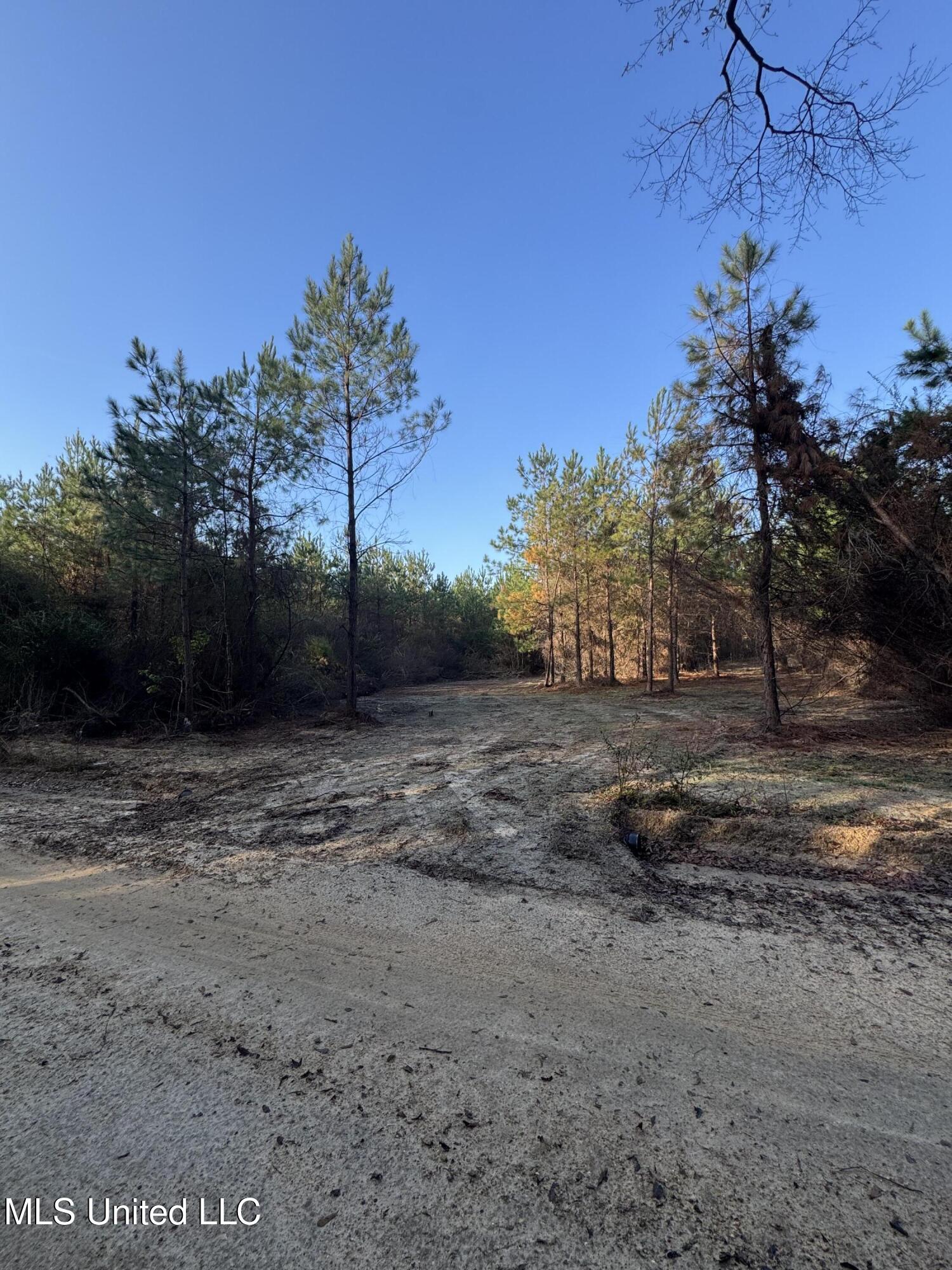 Pat Hickman Road Wiggins, MS 39577 - Photo 7 of 12 IMG_2011