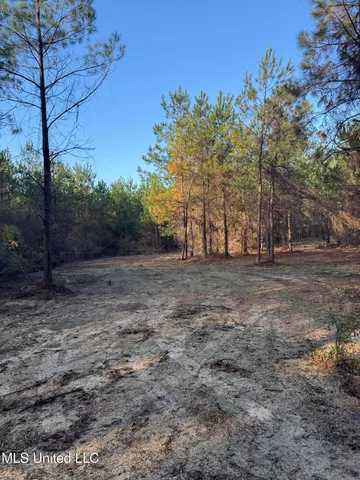 $68,000 | Pat Hickman Road, Wiggins, MS 39577
