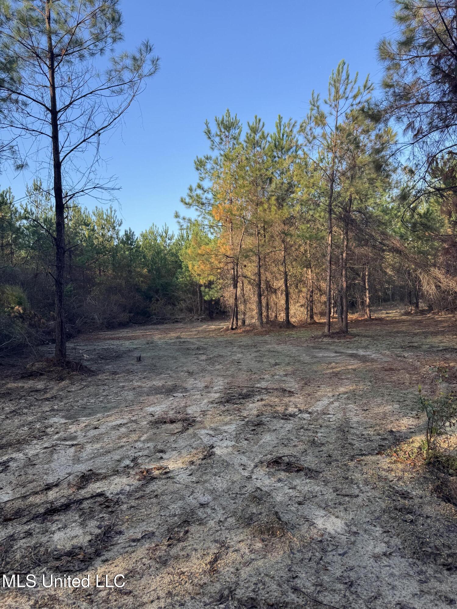 Pat Hickman Road Wiggins, MS 39577 - Photo 8 of 12 IMG_2012