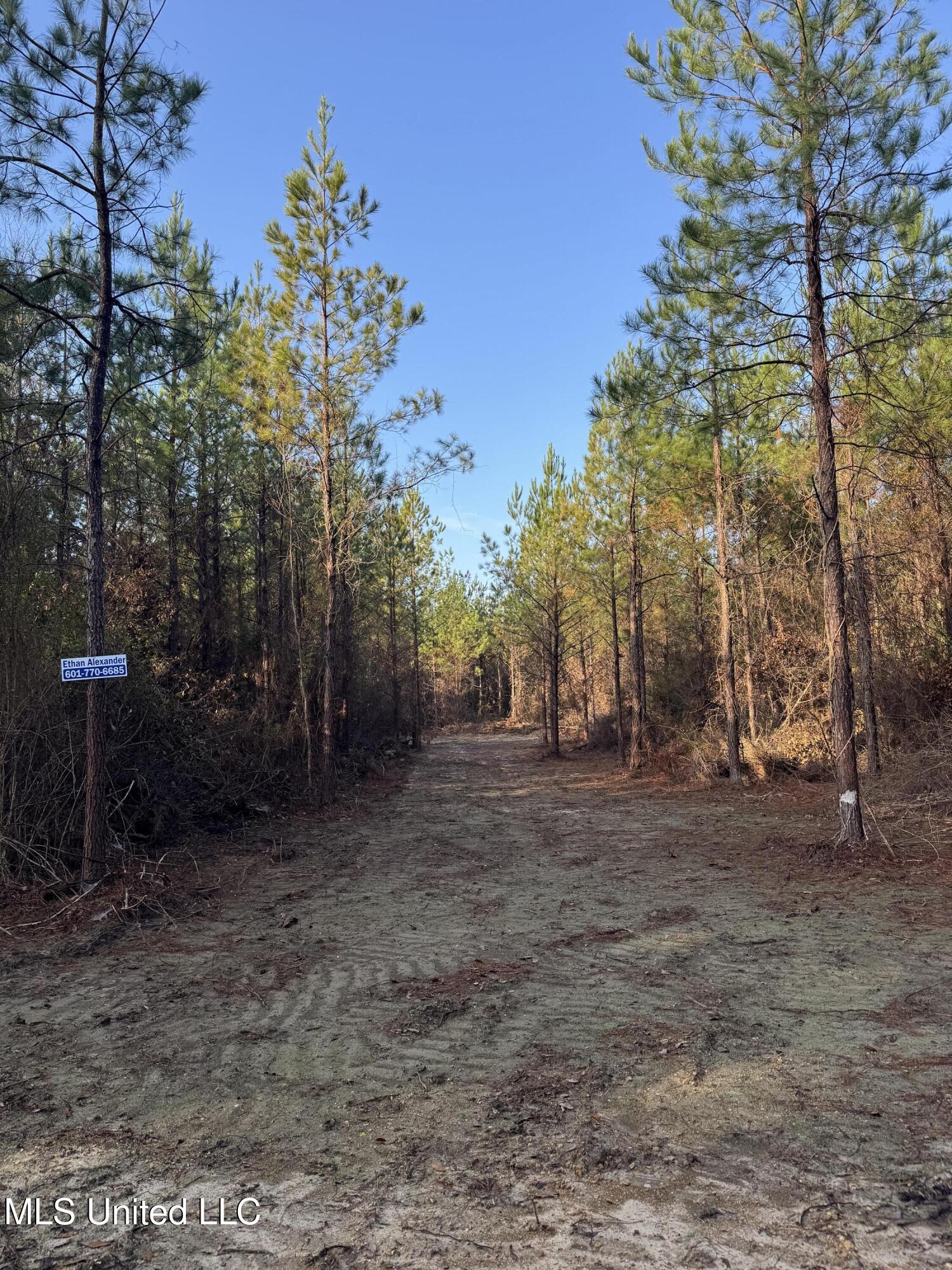 Pat Hickman Road Wiggins, MS 39577 - Photo 9 of 12 IMG_2013