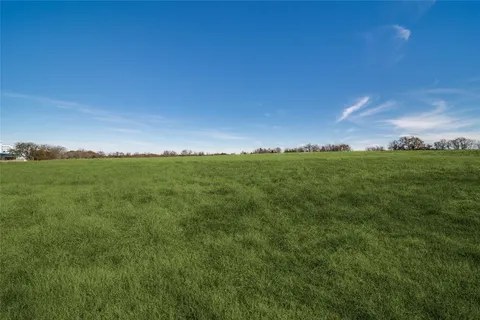 a view of a big yard with large trees