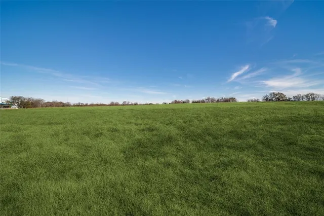 a view of a big yard with large trees