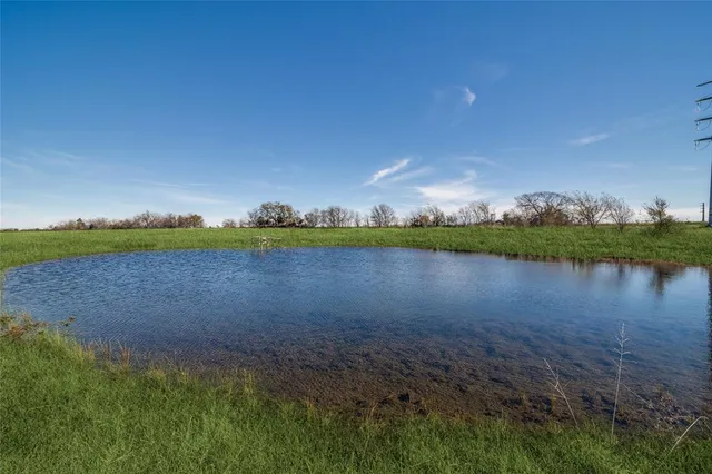 a view of a lake from a yard