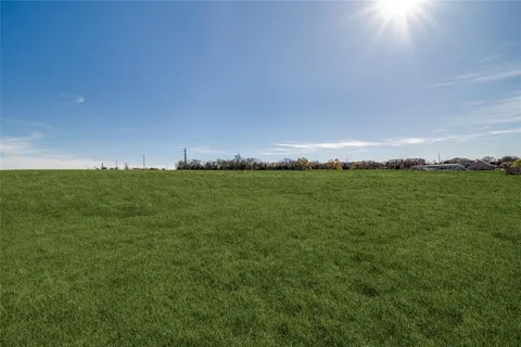 a view of a big yard with plants and large trees