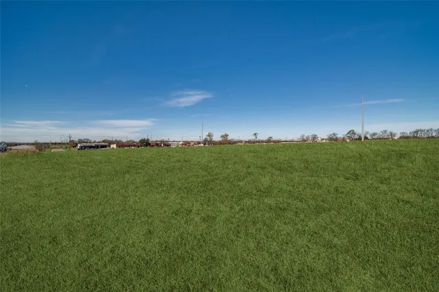 a view of a field with large trees