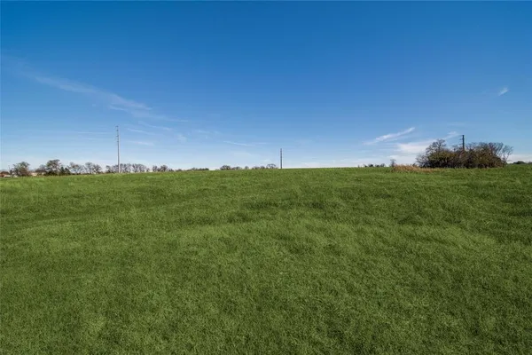 a view of a big yard with a large tree and a street sign