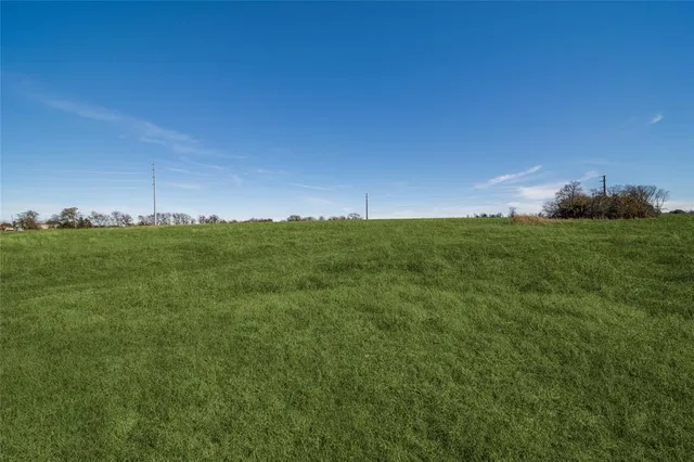 a view of a big yard with a large tree and a street sign