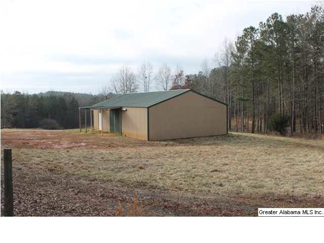 523 Pine Road, Unit 30 ACRES Daviston, AL 36256 - Photo 1 of 9