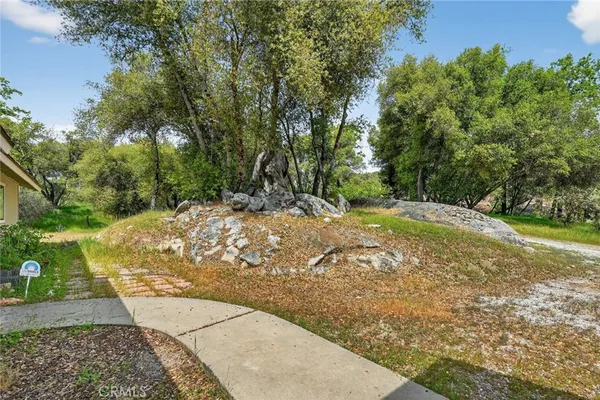 a view of a yard with plants