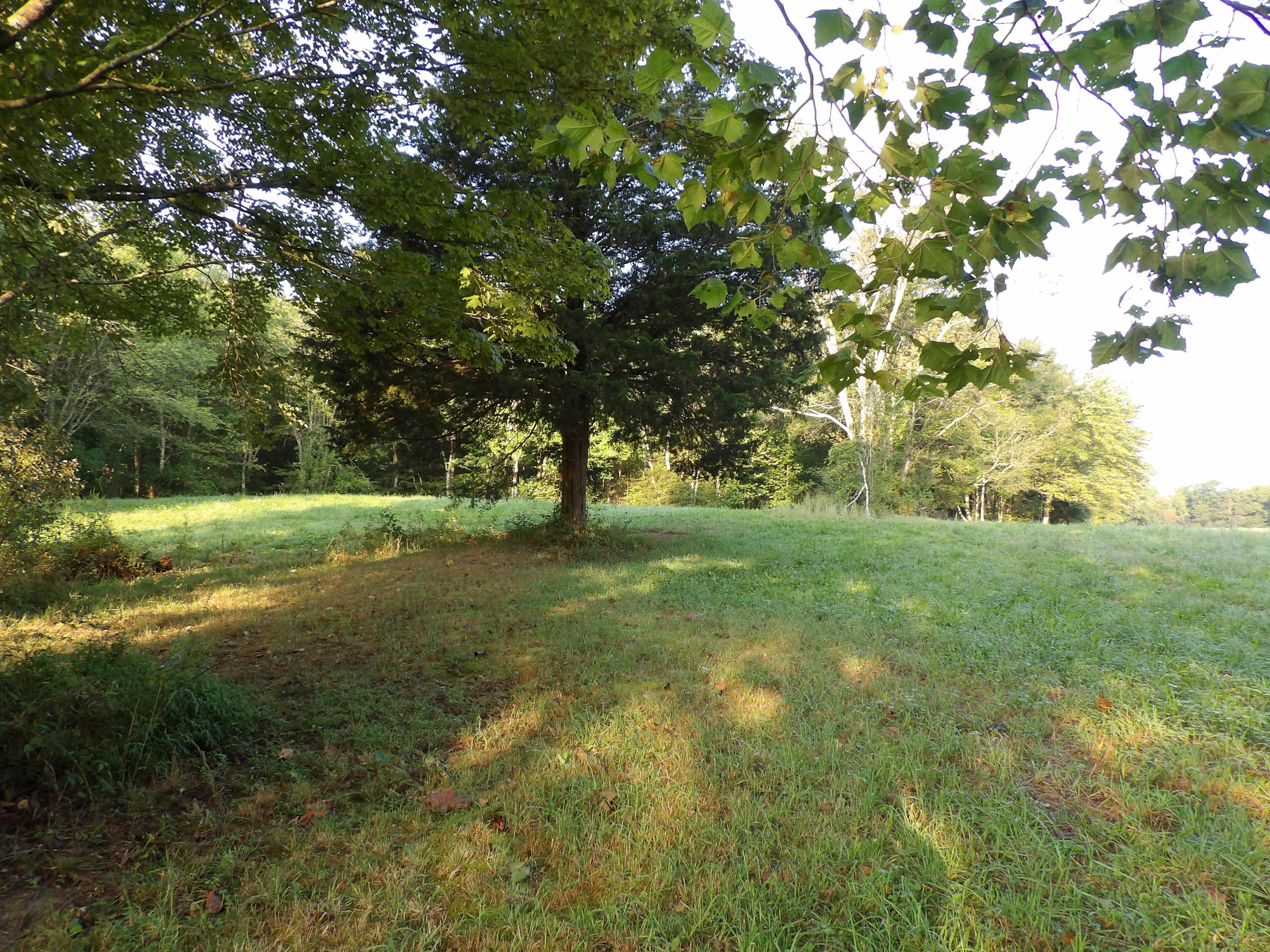0 Simmons Cemetery Road Pikeville, TN 37367 - Photo 1 of 26 100_1434