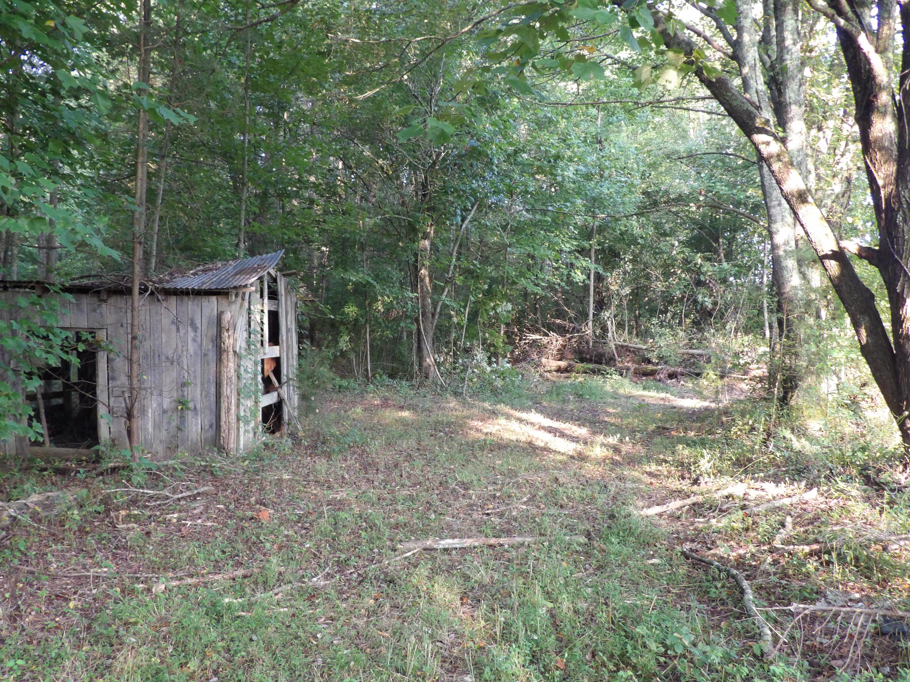 0 Simmons Cemetery Road Pikeville, TN 37367 - Photo 14 of 26 100_1437