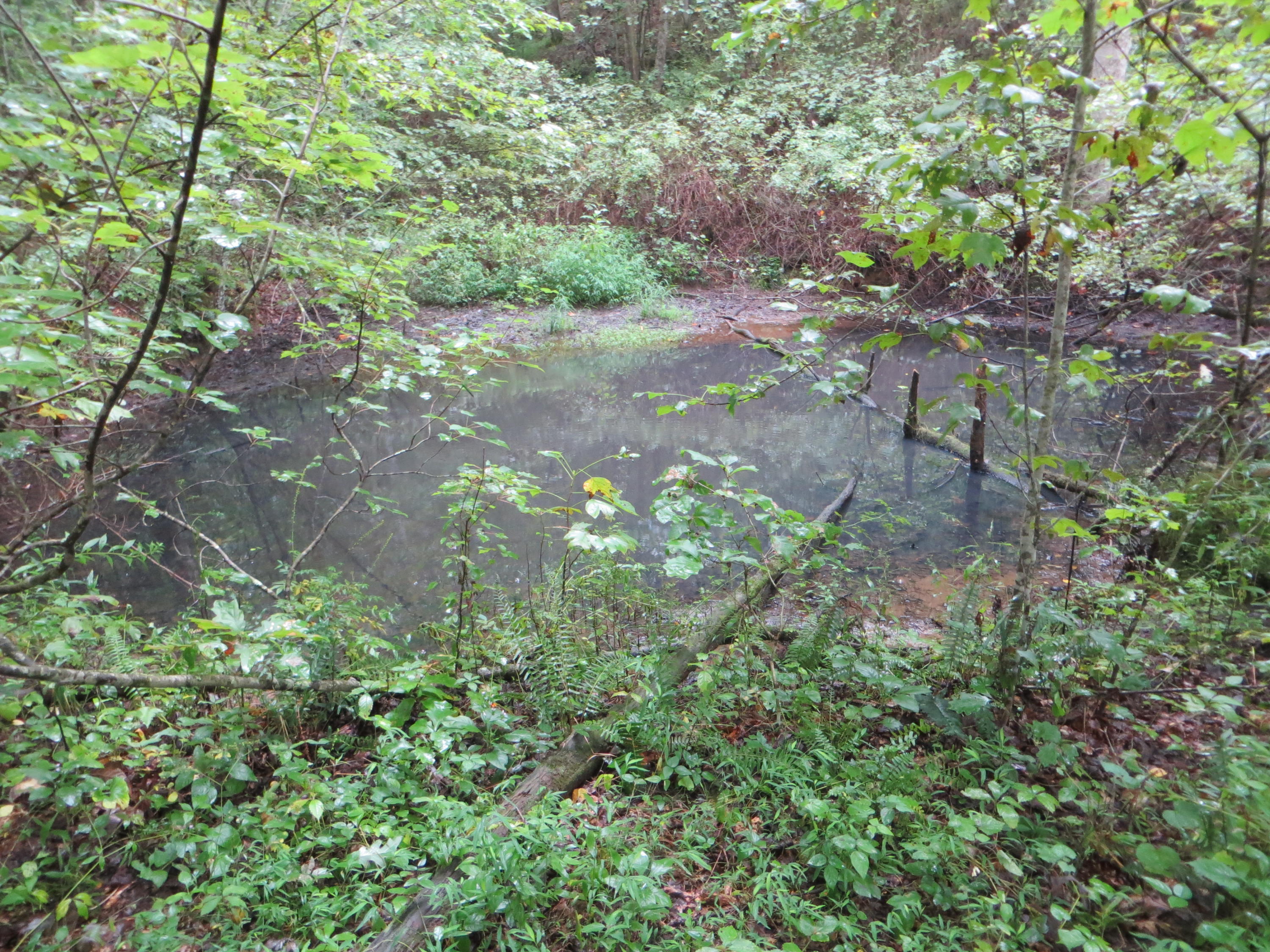 0 Simmons Cemetery Road Pikeville, TN 37367 - Photo 17 of 26 IMG_0010