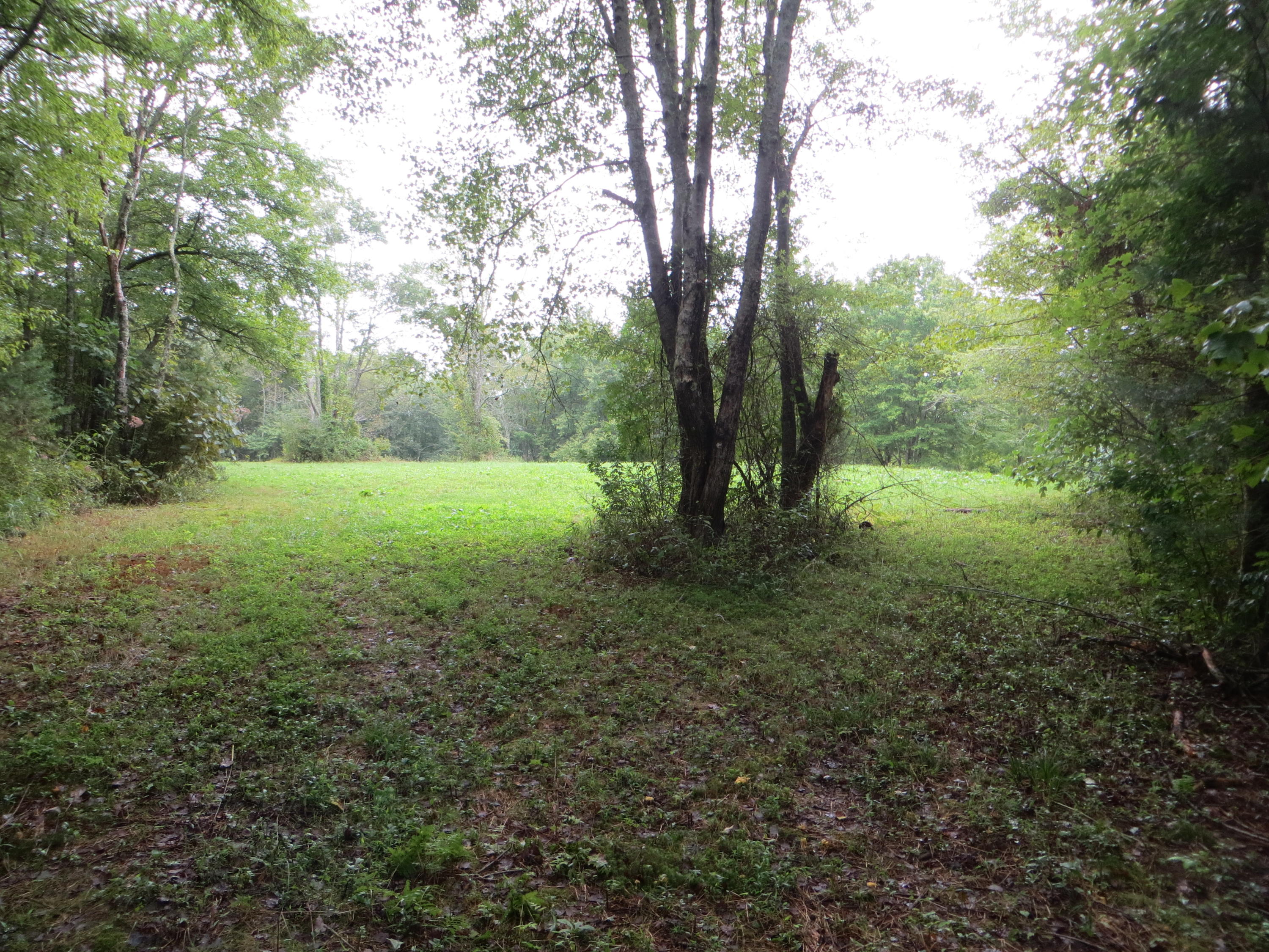 0 Simmons Cemetery Road Pikeville, TN 37367 - Photo 20 of 26 IMG_0013