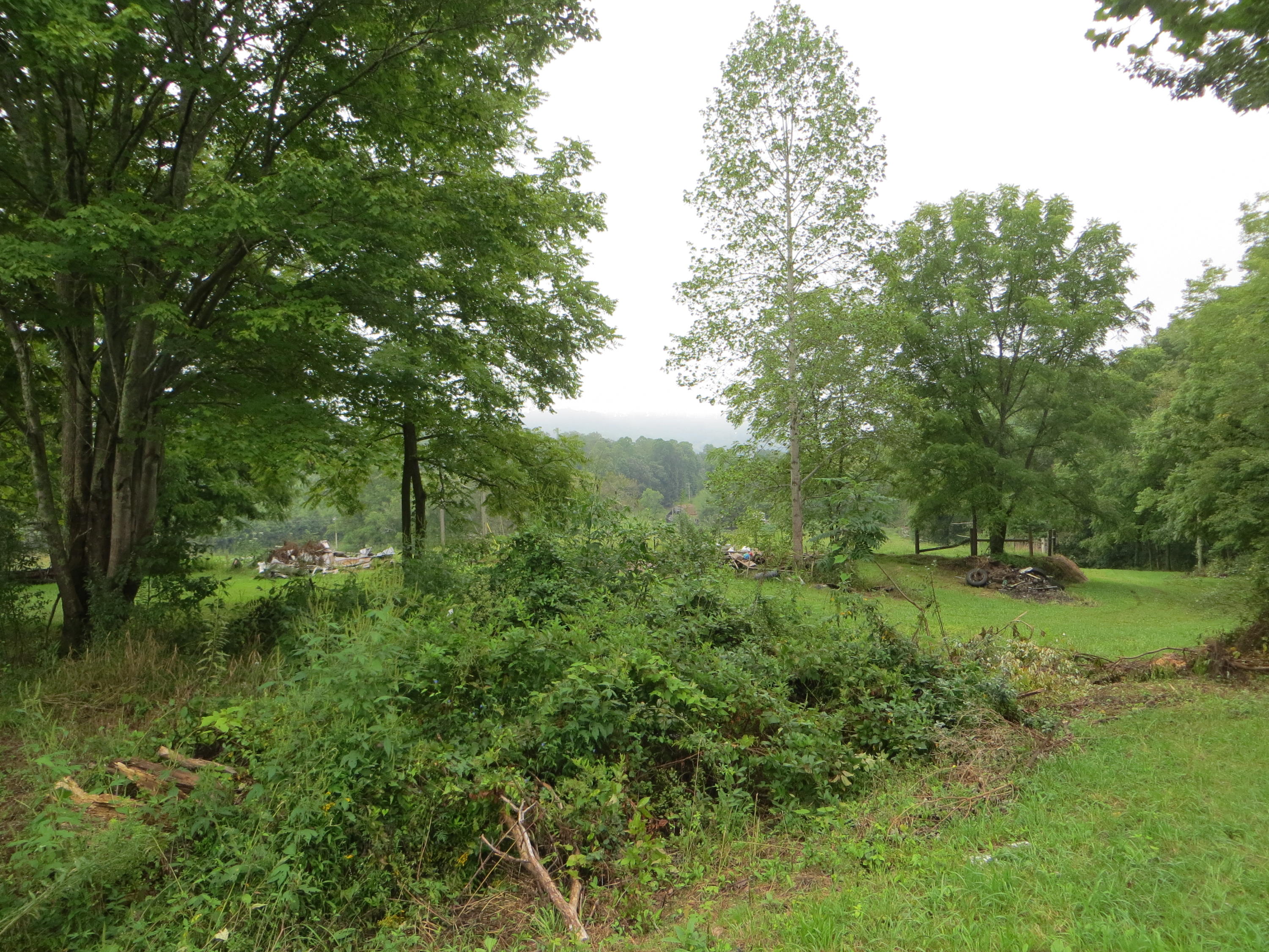 0 Simmons Cemetery Road Pikeville, TN 37367 - Photo 22 of 26 IMG_0015