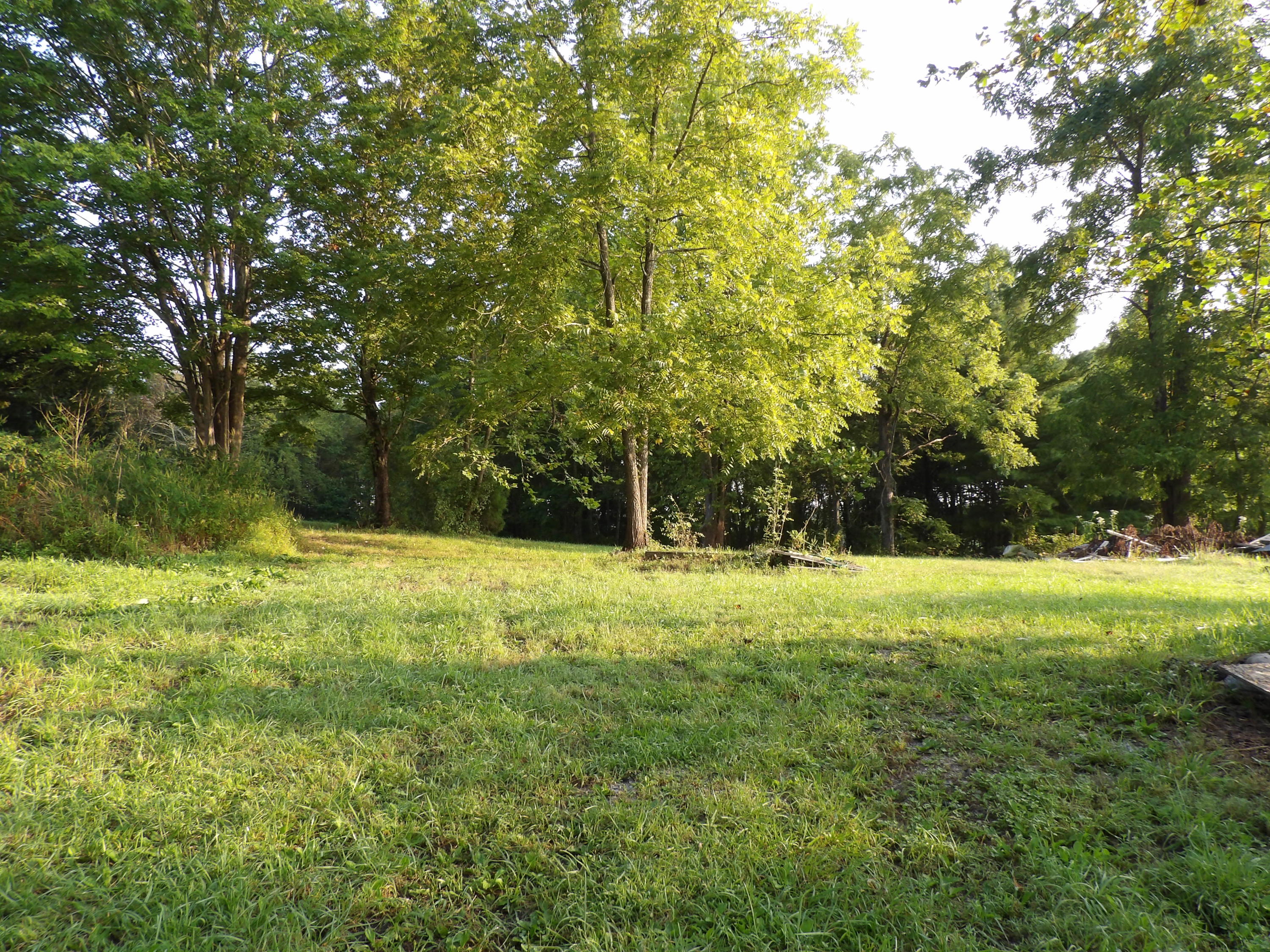 0 Simmons Cemetery Road Pikeville, TN 37367 - Photo 4 of 26 100_1430