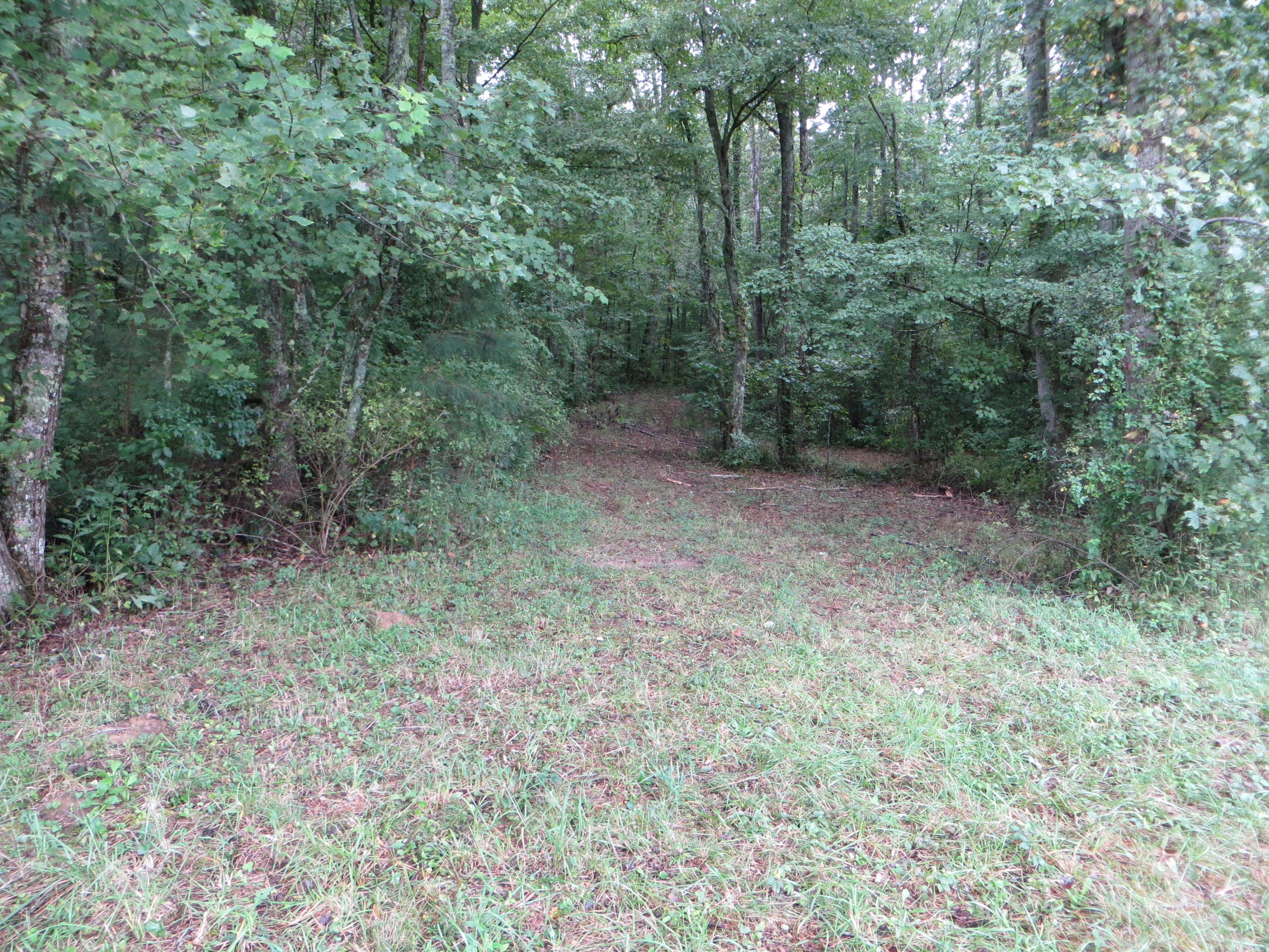 0 Simmons Cemetery Road Pikeville, TN 37367 - Photo 6 of 26 IMG_0002