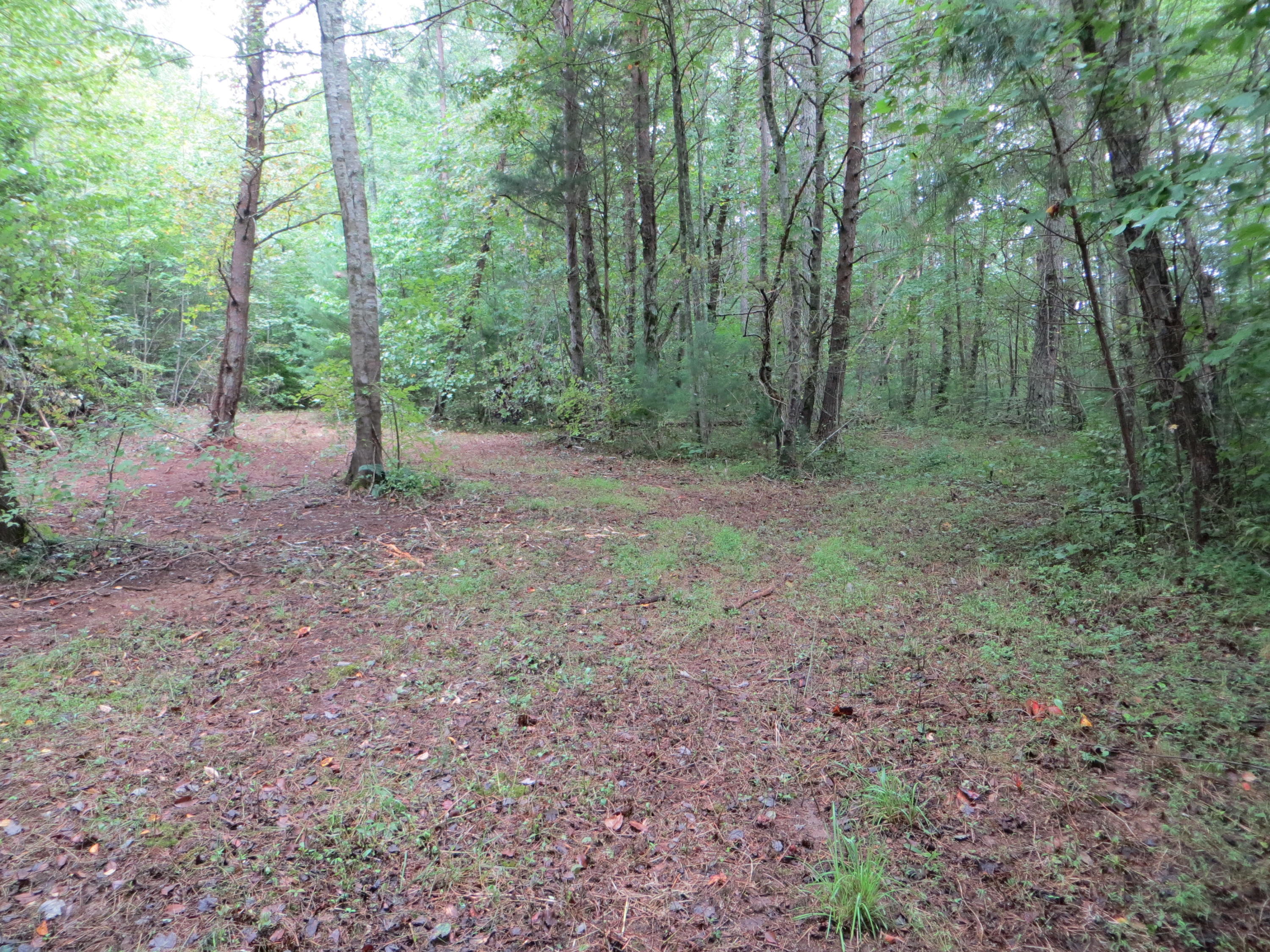 0 Simmons Cemetery Road Pikeville, TN 37367 - Photo 8 of 26 IMG_0003