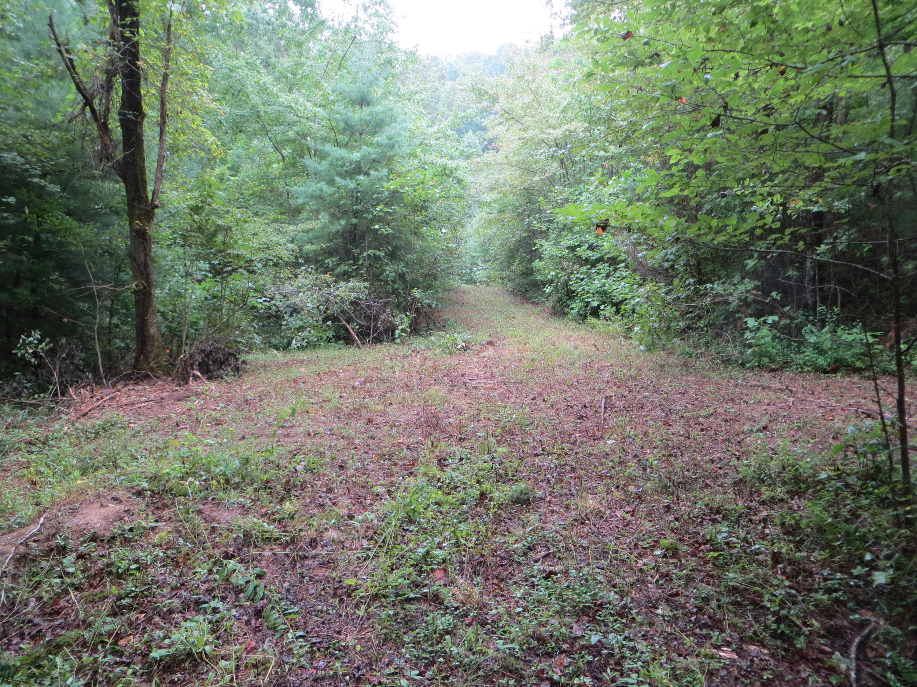0 Simmons Cemetery Road Pikeville, TN 37367 - Photo 10 of 26 IMG_0005