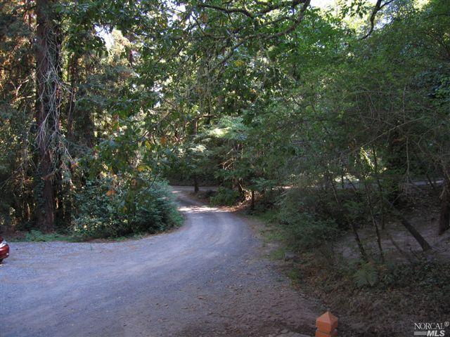 10950 Peaks Pike Road Sebastopol, CA 95472 - Photo 1 of 1 a view of a forest with trees in the background
