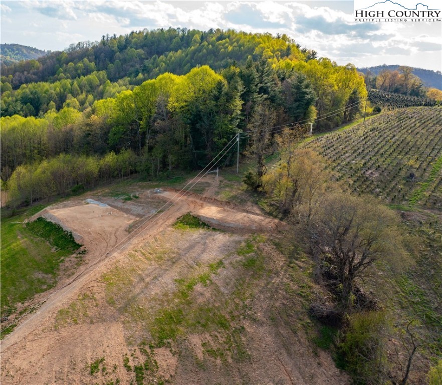 208 Brown Road Sparta, NC 28675 - Photo 8 of 21 Gallery Image 8