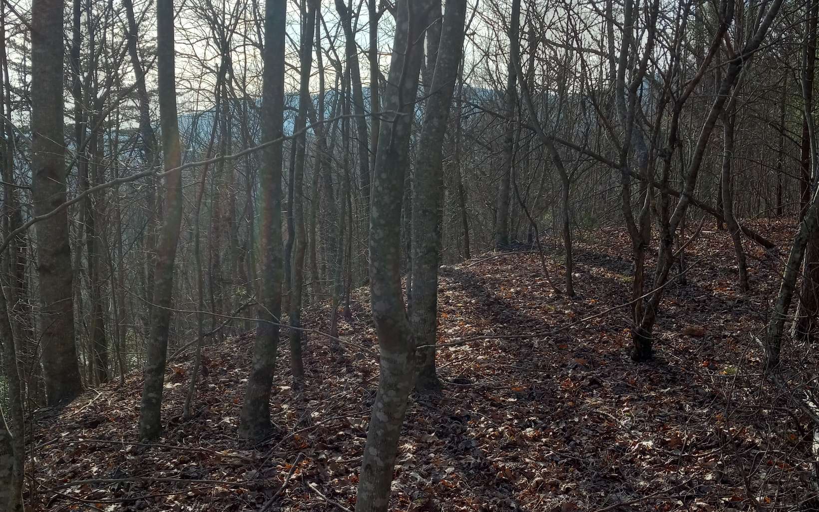 Lot 9 Hardslate Road Ellijay, GA 30536 - Photo 5 of 6 Additional View