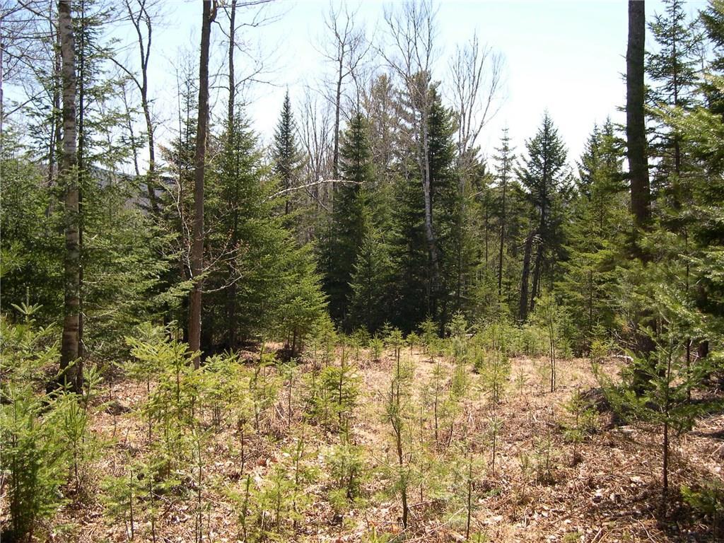 Lot 5 Manor Woods Road Rangeley, ME 04970 - Photo 3 of 14 land