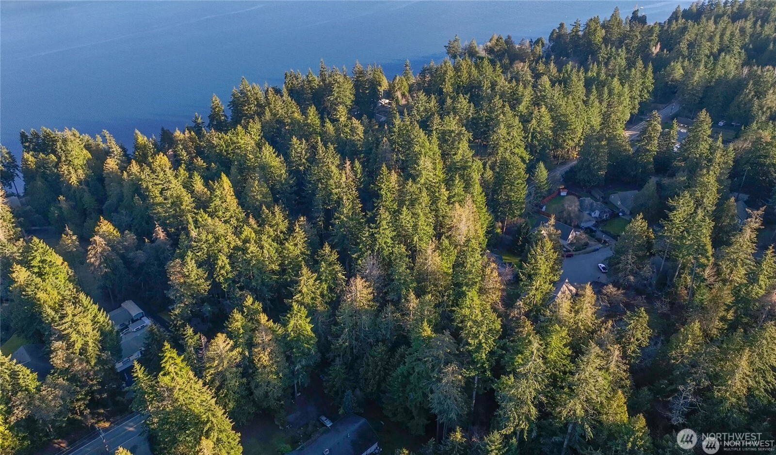 3 Illahee Road Northeast Bremerton, WA 98311 - Photo 3 of 7 a view of a bunch of trees