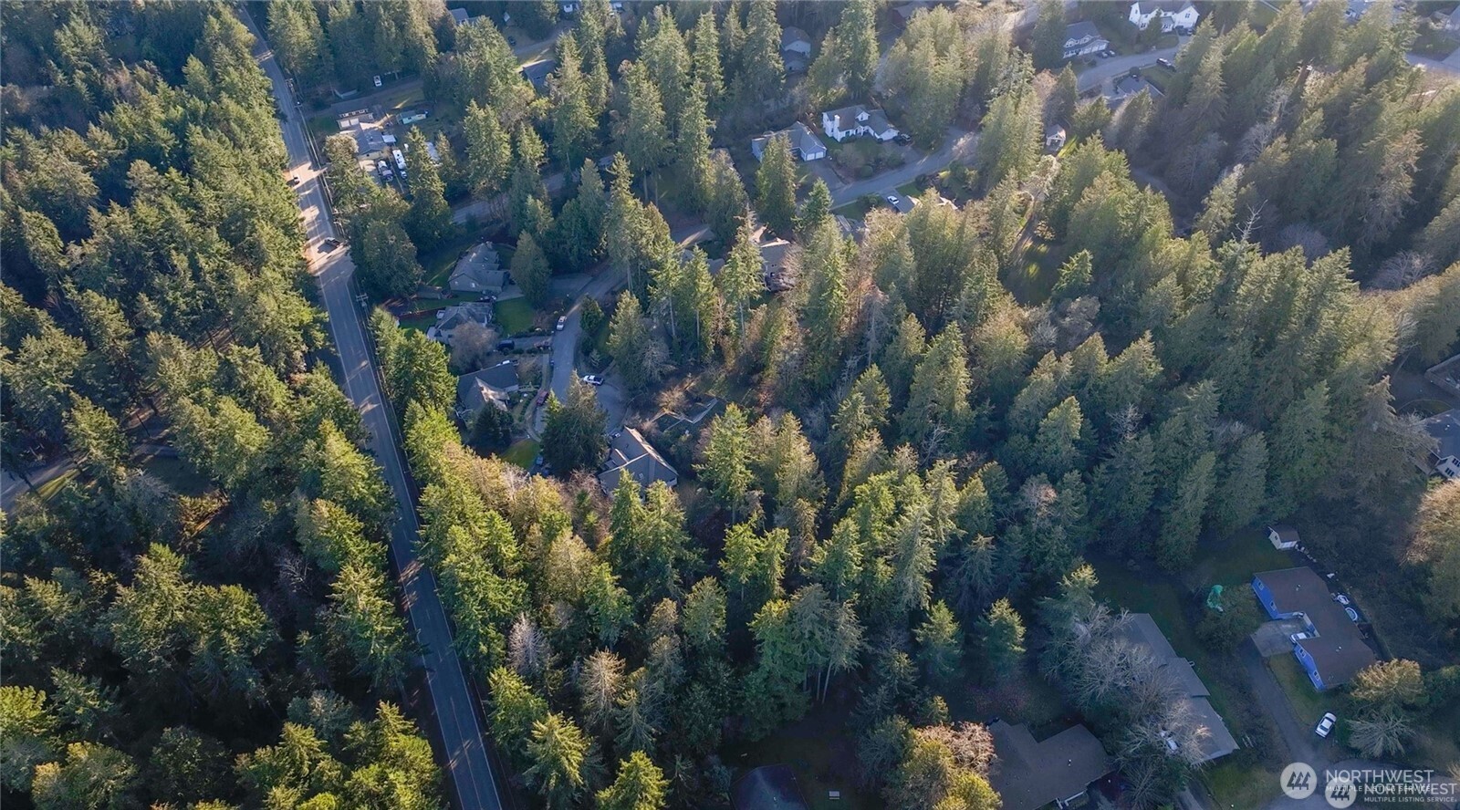 3 Illahee Road Northeast Bremerton, WA 98311 - Photo 6 of 7 a view of a house with a tree
