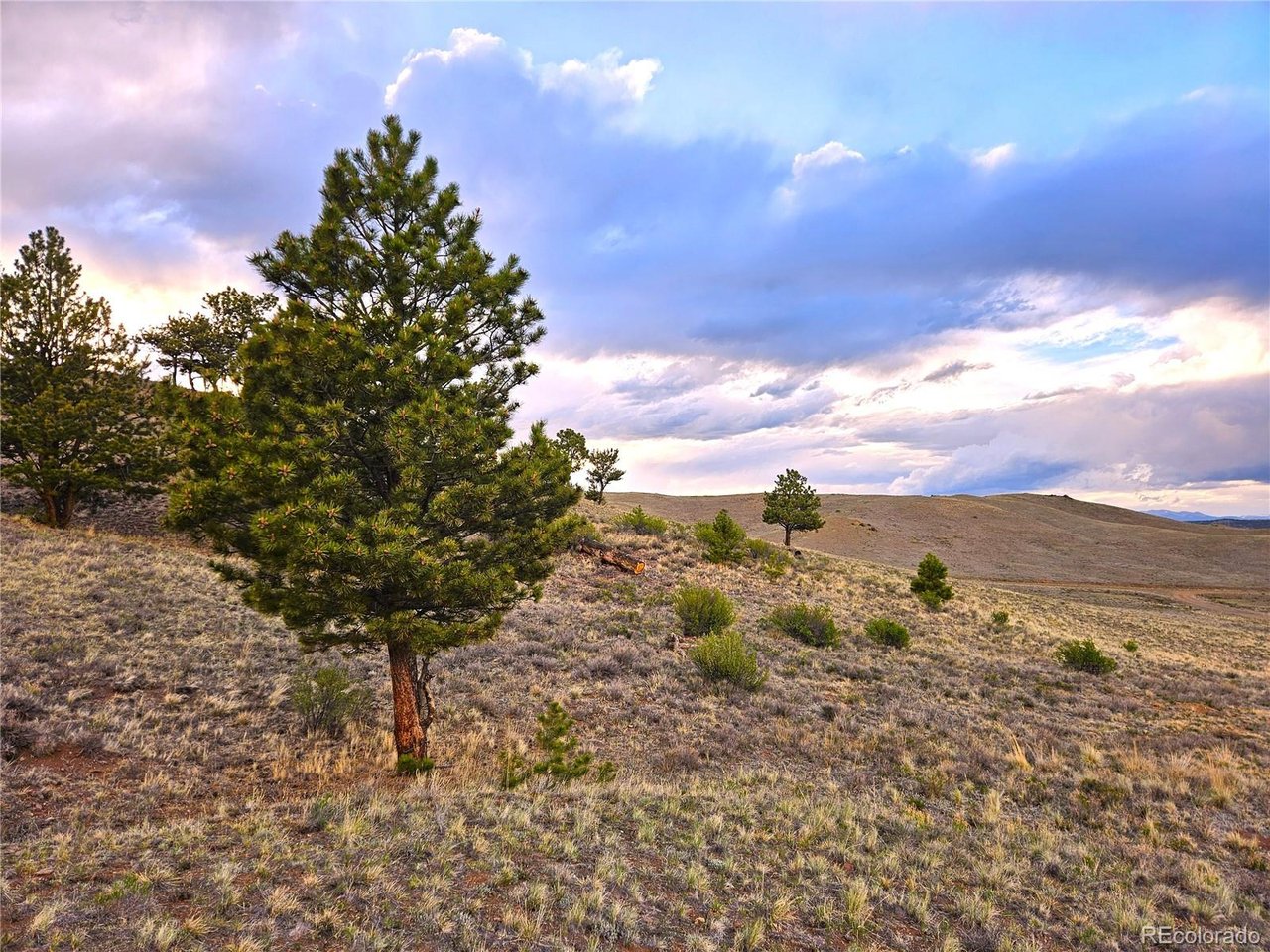 25427 Yuma Road Hartsel, CO 80449 - Photo 22 of 31