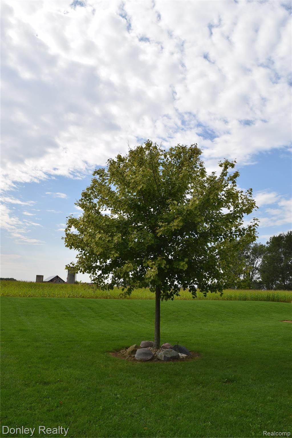 4600 McCready Road Marlette, MI 48453 - Photo 40 of 49 DSC_4060.JPG