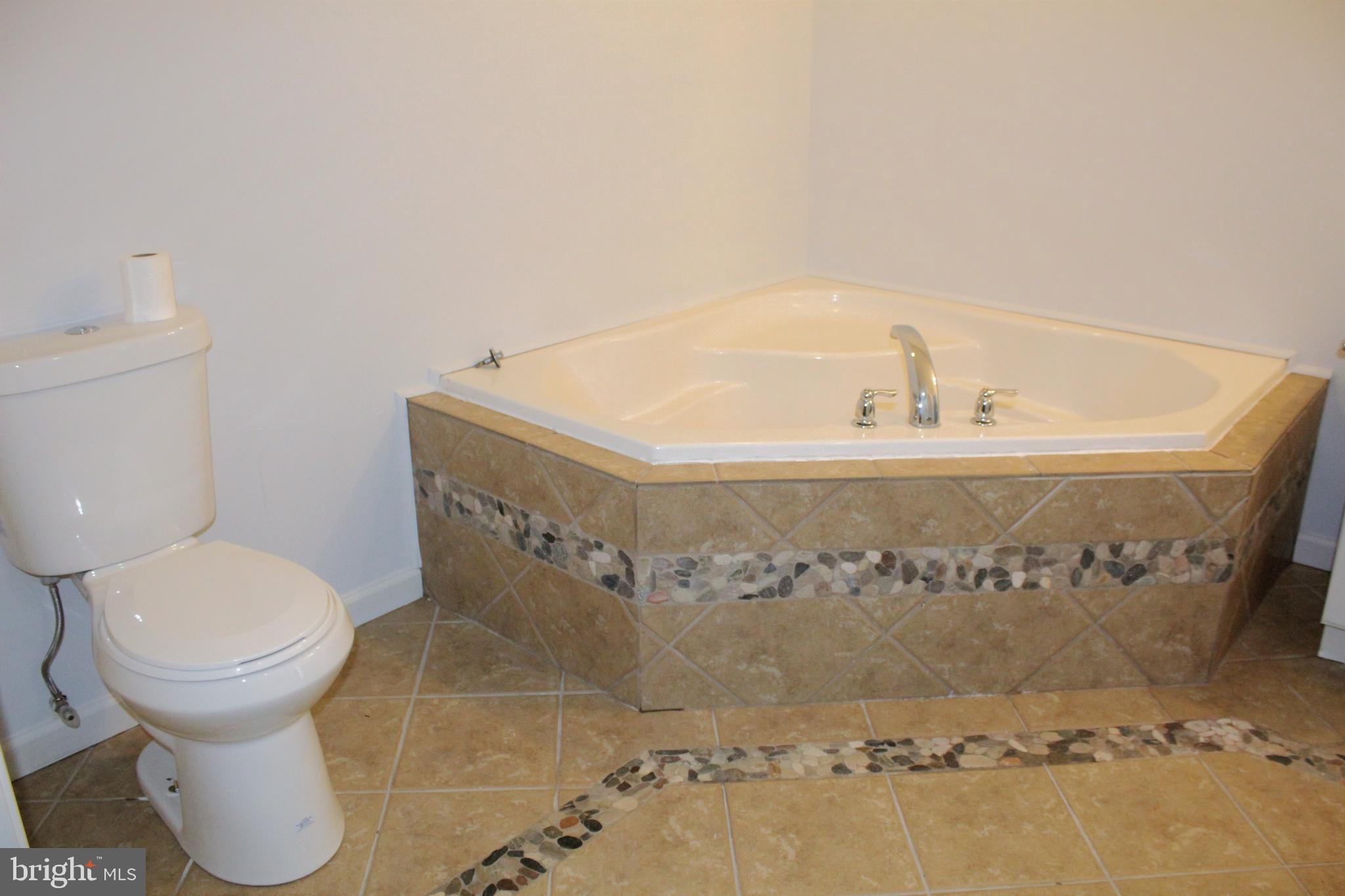 2779 Judith Road Hartly, DE 19953 - Photo 28 of 58 Master Bath soaking tub & new toilet