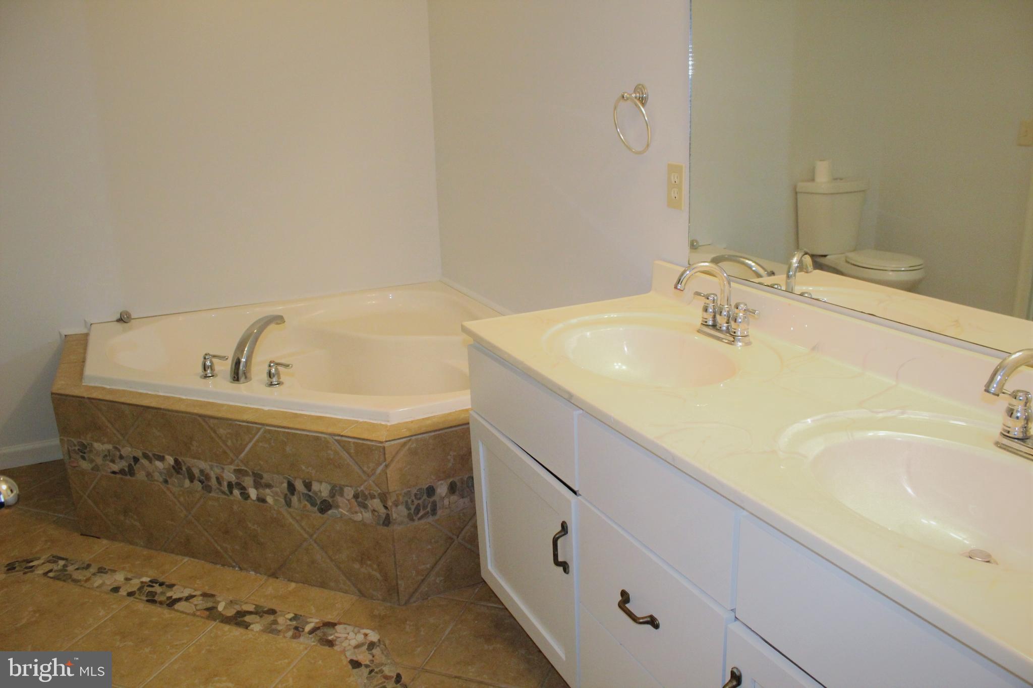 2779 Judith Road Hartly, DE 19953 - Photo 29 of 58 Master Bath soaking tub & double sinks