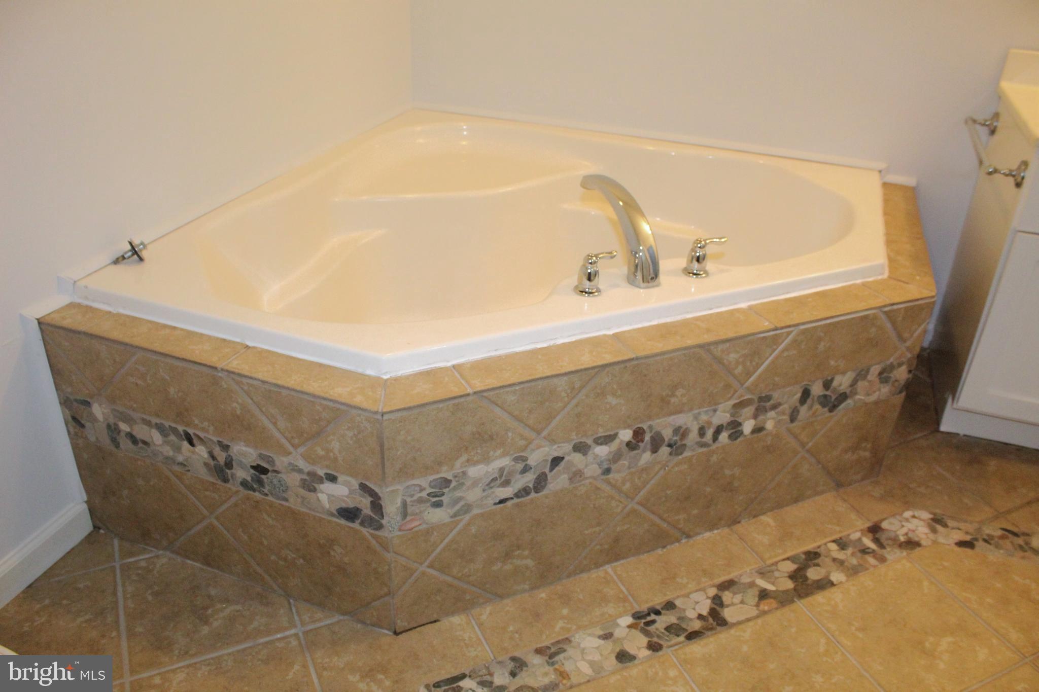 2779 Judith Road Hartly, DE 19953 - Photo 30 of 58 Master Bath soaking tub
