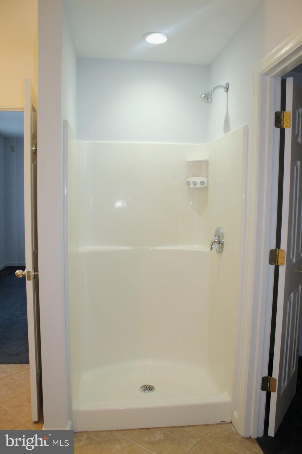 2779 Judith Road Hartly, DE 19953 - Photo 32 of 58 Master Bath shower