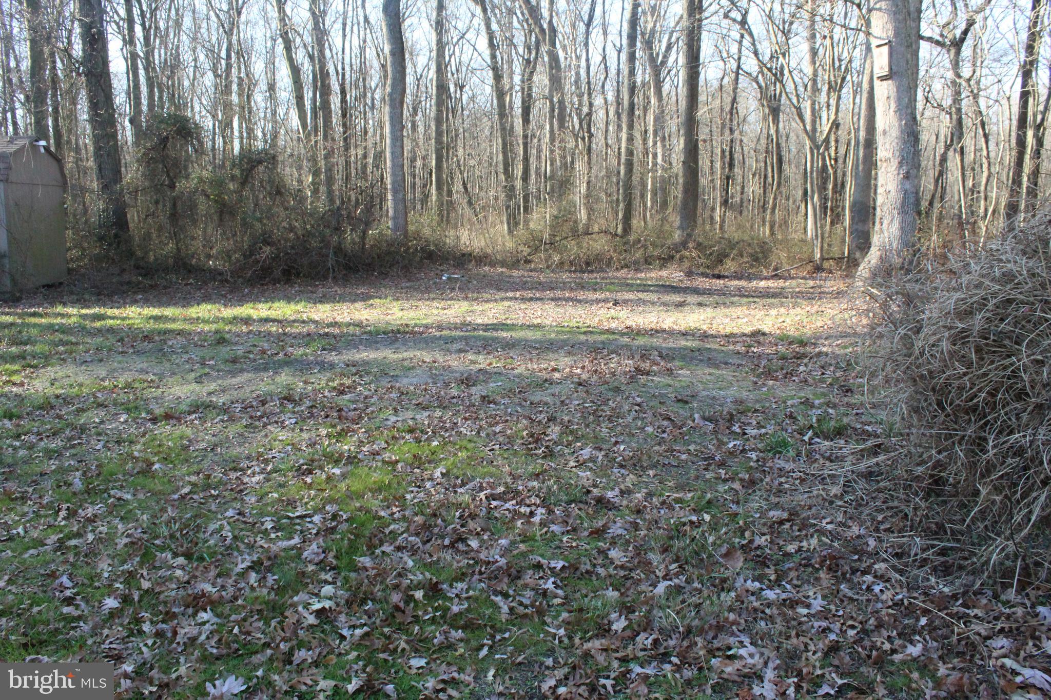 2779 Judith Road Hartly, DE 19953 - Photo 46 of 58 wooded view